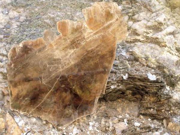 云母含鐵愈高時，顏色愈深，同時多色性和吸收性增強